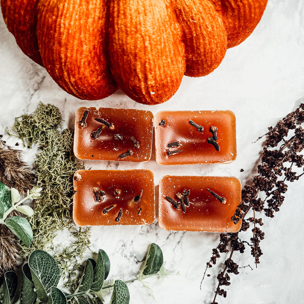Fall Clove XL Natural Wax Melts 4 Cubes Spicy Cinnamon Clove Autumn Scent BandsCo Straps