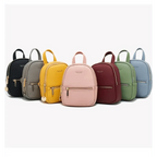 Famous Designer Mini Soft Touch Leather Small Backpack For Female And Girls Fashionable Ladies Bagpack Shoulder Bag Stevvex