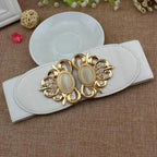Fashion Black Elastic Waistband One-Piece Dress Women Decorative Belt Elegant Women's Style Party Dress Belts Stevvex