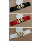 Fashion Black Elastic Waistband One-Piece Dress Women Decorative Belt Elegant Women's Style Party Dress Belts Stevvex