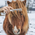 Horse Cleaning Brush Bent Hook Lootquake LLC