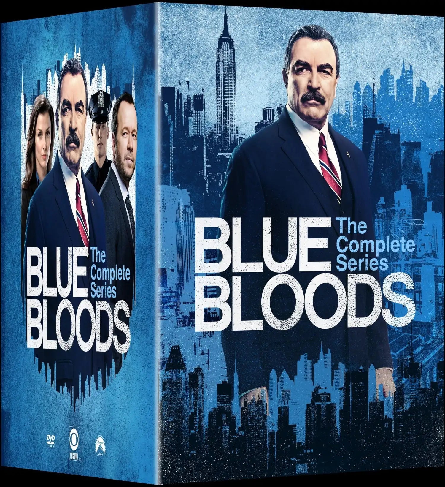 Blue Bloods: The Complete Series (DVD)