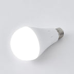 Power Failure Emergency Bulb Lamp Pi-Mart