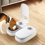 Automatic Pet Feeder Smart Food Dispenser For Cats Dogs Timer Stainless Steel Bowl Auto Dog Cat Pet Feeding Pets Supplies Pi-Mart