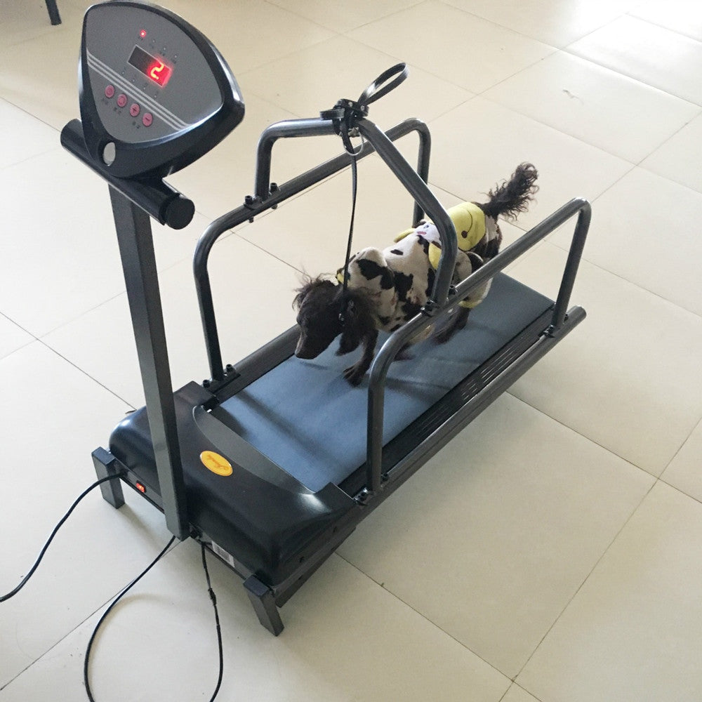 Dog special treadmill pet dog running training equipment Lootquake LLC