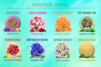 The Body & Mind Therapeutic Luxury Gift Set Lootquake LLC