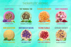 Earthy Bath Bomb Gift Set Lootquake LLC