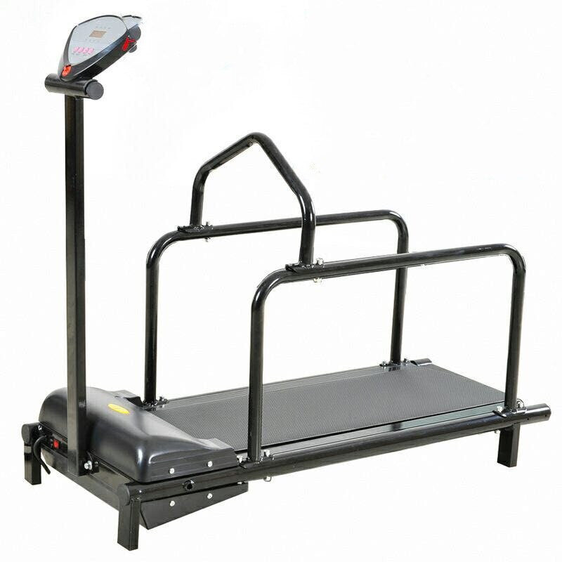Dog special treadmill pet dog running training equipment Lootquake LLC