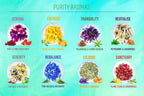 Purity Therapeutic Bath Bomb Gift Set Lootquake LLC