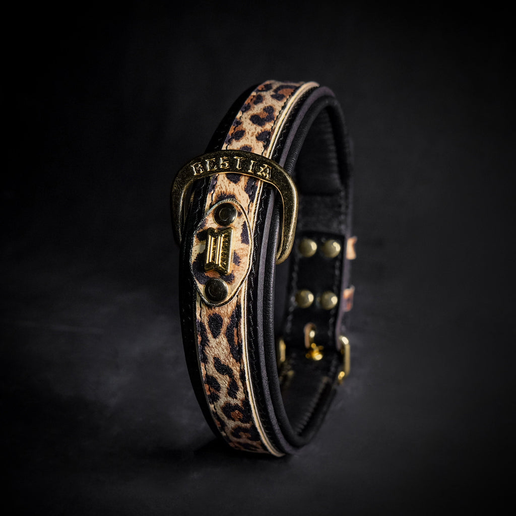 The Leopard Collar Bestia Dog Gear