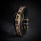 The Leopard Collar Bestia Dog Gear