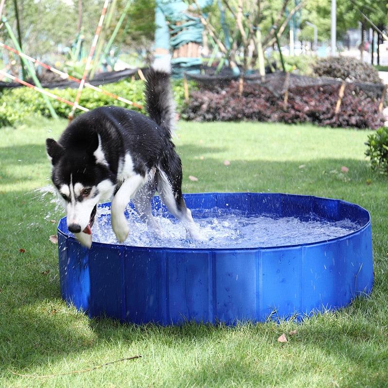 Foldable Dog Pool Pet Bath Swimming Tub Bathtub Outdoor Indoor Collapsible Bathing Pool for Dogs Cats Kids Pool Pet Bathing Tub Dog Pool Big Size Dog Swimming Pool Foldable Pet Pool Bath Swimming Tub Bathtub Pet Collapsible Bathing Pool for Dogs Stevvex