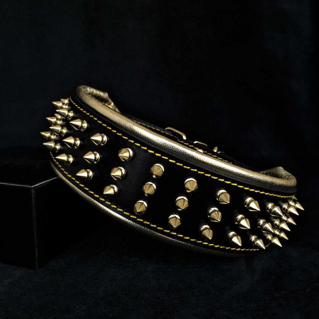 The "Gold Giant" collar Bestia Dog Gear