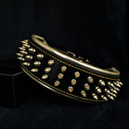 The "Gold Giant" collar Bestia Dog Gear