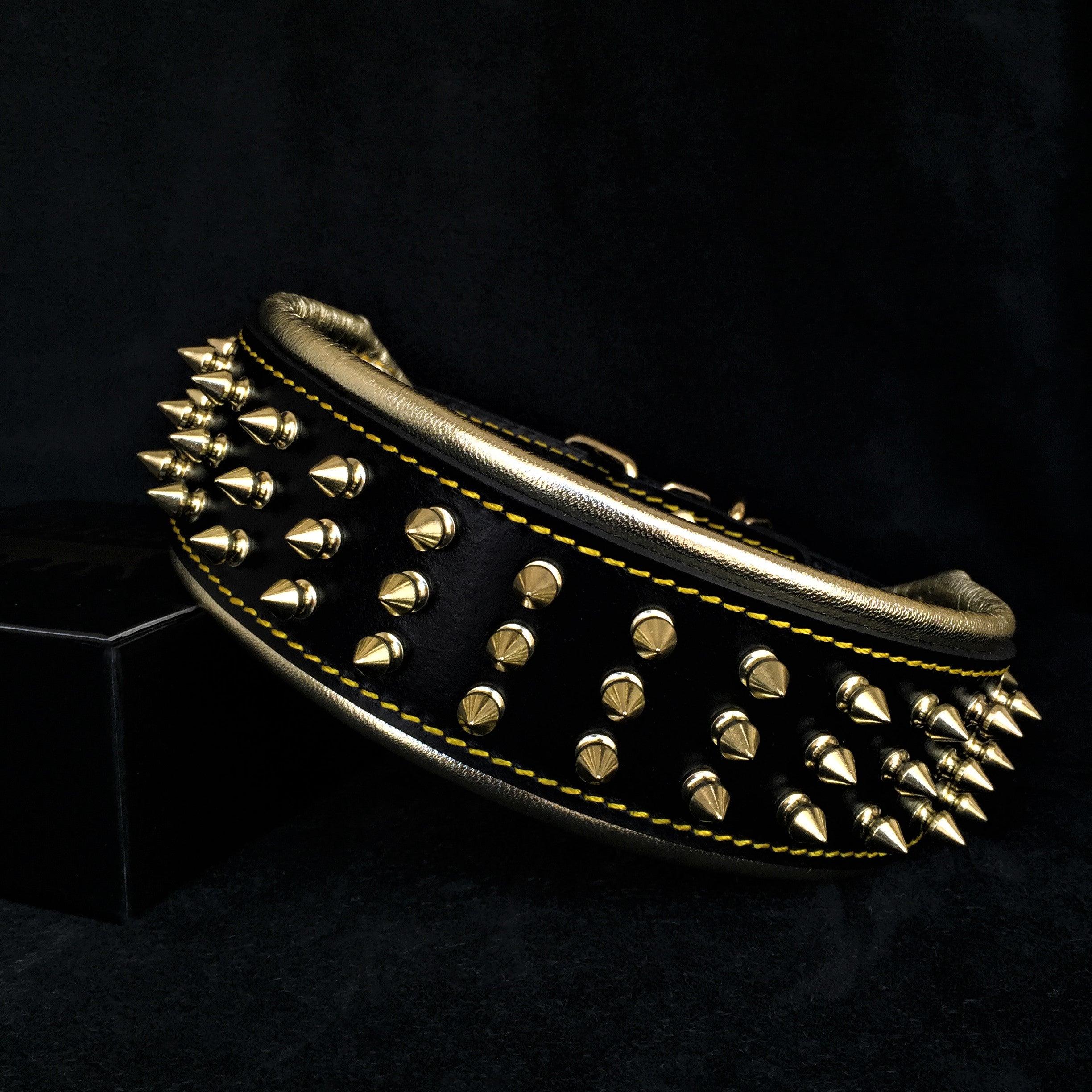 The "Gold Giant" collar Bestia Dog Gear