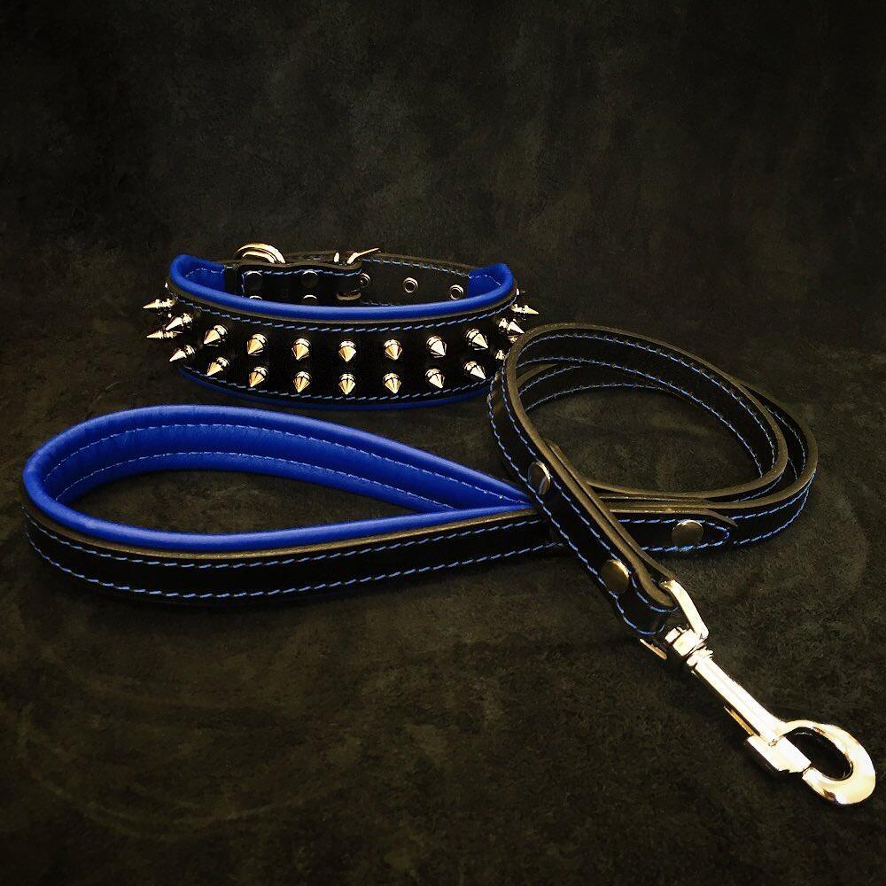 "Frenchie" Set- collar & leash. Blue - SJB-DIAMOND ELITES