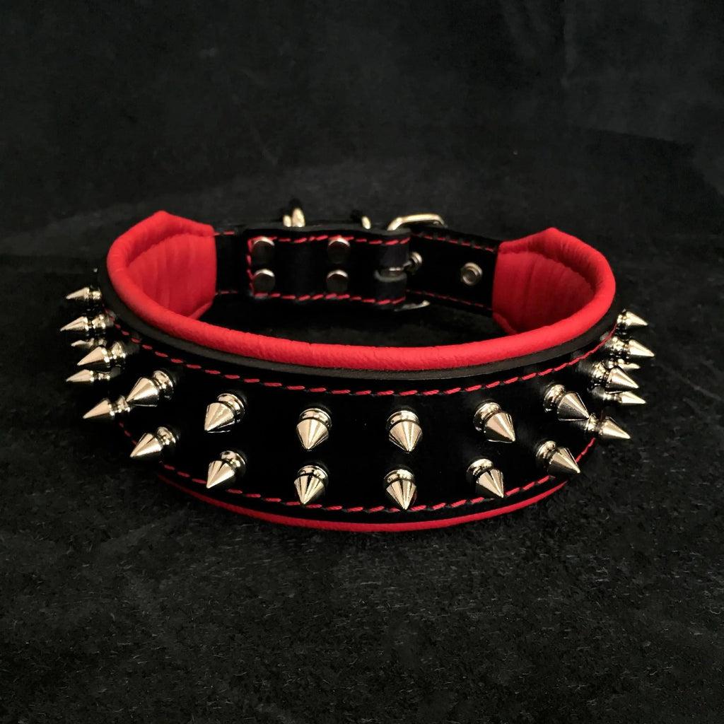 "Frenchie" collar Bestia Dog Gear