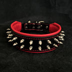 "Frenchie" collar Bestia Dog Gear