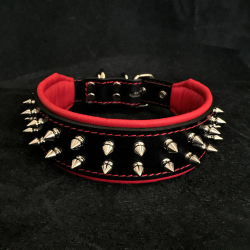 "Frenchie" collar Bestia Dog Gear