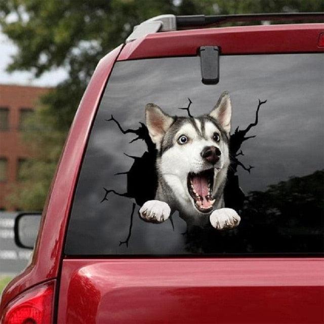 Funny Dog Head In The Crack Vinyl Car Funny Dog Head In The Crack Vinyl Car Stickers Decals Motorcycle Accessories Car-window Decorative Goods Broken Glass Sticker Car Stickers Decals Motorcycle Accessories Car-window Decorative Goods Pvc Car Sticker Stevvex