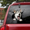 Funny Dog Head In The Crack Vinyl Car Funny Dog Head In The Crack Vinyl Car Stickers Decals Motorcycle Accessories Car-window Decorative Goods Broken Glass Sticker Car Stickers Decals Motorcycle Accessories Car-window Decorative Goods Pvc Car Sticker Stevvex