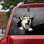 Funny Dog Head In The Crack Vinyl Car Funny Dog Head In The Crack Vinyl Car Stickers Decals Motorcycle Accessories Car-window Decorative Goods Broken Glass Sticker Car Stickers Decals Motorcycle Accessories Car-window Decorative Goods Pvc Car Sticker Stevvex