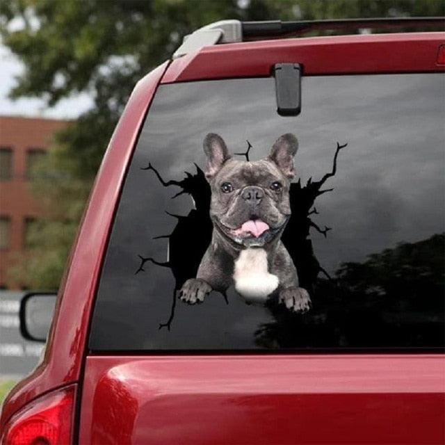 Funny Dog Head In The Crack Vinyl Car Funny Dog Head In The Crack Vinyl Car Stickers Decals Motorcycle Accessories Car-window Decorative Goods Broken Glass Sticker Car Stickers Decals Motorcycle Accessories Car-window Decorative Goods Pvc Car Sticker Stevvex