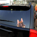 Funny Dog Head In The Crack Vinyl Car Funny Dog Head In The Crack Vinyl Car Stickers Decals Motorcycle Accessories Car-window Decorative Goods Broken Glass Sticker Car Stickers Decals Motorcycle Accessories Car-window Decorative Goods Pvc Car Sticker Stevvex