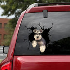 Funny Dog Head In The Crack Vinyl Car Funny Dog Head In The Crack Vinyl Car Stickers Decals Motorcycle Accessories Car-window Decorative Goods Broken Glass Sticker Car Stickers Decals Motorcycle Accessories Car-window Decorative Goods Pvc Car Sticker Stevvex