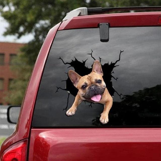 Funny Dog Head In The Crack Vinyl Car Funny Dog Head In The Crack Vinyl Car Stickers Decals Motorcycle Accessories Car-window Decorative Goods Broken Glass Sticker Car Stickers Decals Motorcycle Accessories Car-window Decorative Goods Pvc Car Sticker Stevvex