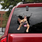 Funny Dog Head In The Crack Vinyl Car Funny Dog Head In The Crack Vinyl Car Stickers Decals Motorcycle Accessories Car-window Decorative Goods Broken Glass Sticker Car Stickers Decals Motorcycle Accessories Car-window Decorative Goods Pvc Car Sticker Stevvex