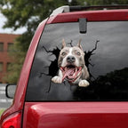 Funny Dog Head In The Crack Vinyl Car Funny Dog Head In The Crack Vinyl Car Stickers Decals Motorcycle Accessories Car-window Decorative Goods Broken Glass Sticker Car Stickers Decals Motorcycle Accessories Car-window Decorative Goods Pvc Car Sticker Stevvex