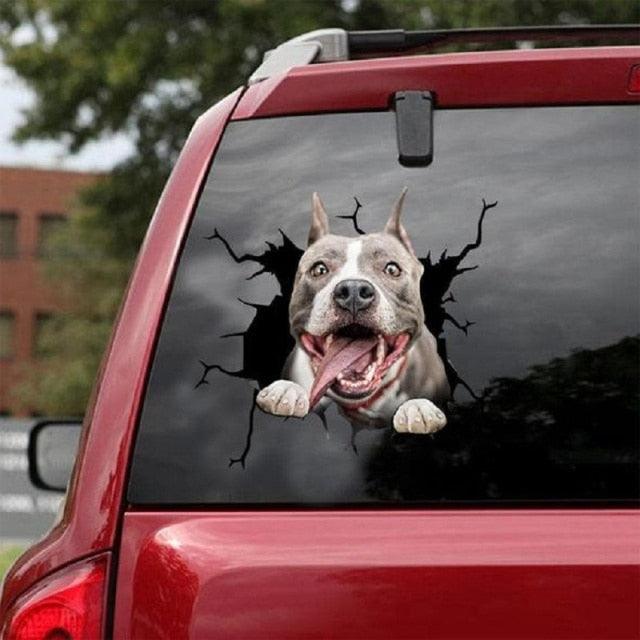 Funny Dog Head In The Crack Vinyl Car Funny Dog Head In The Crack Vinyl Car Stickers Decals Motorcycle Accessories Car-window Decorative Goods Broken Glass Sticker Car Stickers Decals Motorcycle Accessories Car-window Decorative Goods Pvc Car Sticker Stevvex