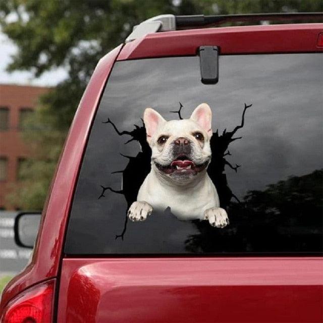 Funny Dog Head In The Crack Vinyl Car Funny Dog Head In The Crack Vinyl Car Stickers Decals Motorcycle Accessories Car-window Decorative Goods Broken Glass Sticker Car Stickers Decals Motorcycle Accessories Car-window Decorative Goods Pvc Car Sticker Stevvex