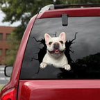Funny Dog Head In The Crack Vinyl Car Funny Dog Head In The Crack Vinyl Car Stickers Decals Motorcycle Accessories Car-window Decorative Goods Broken Glass Sticker Car Stickers Decals Motorcycle Accessories Car-window Decorative Goods Pvc Car Sticker Stevvex