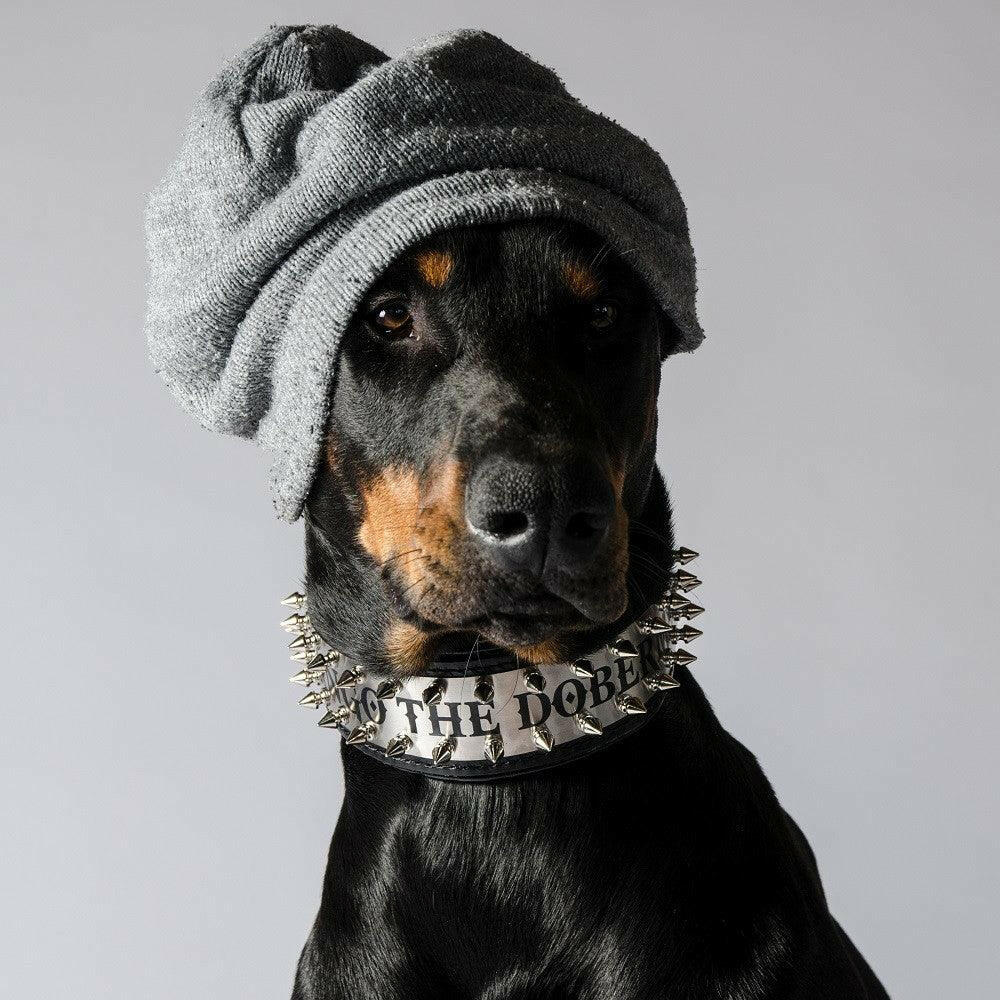 The "Metal" collar- personalized! Bestia Dog Gear