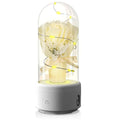 Creative 2 In 1 Bouquet LED Light And Bluetooth-compatible Speaker Mother's Day Gift Rose Luminous Night Light Ornament In Glass Cover Pi-Mart