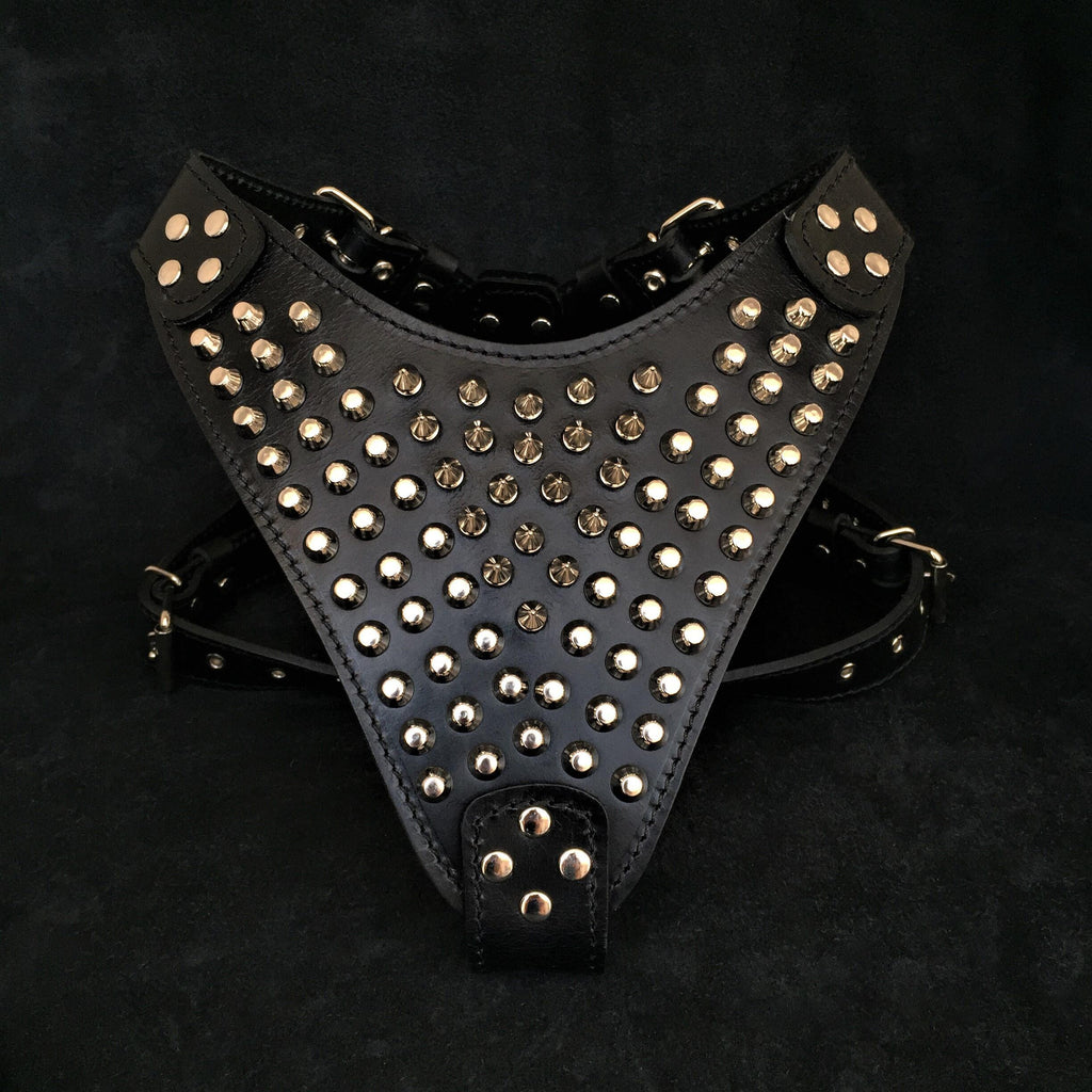 The "Gladiator" harness Bestia Dog Gear