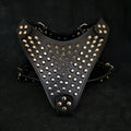 The "Gladiator" harness Bestia Dog Gear