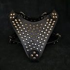 The "Gladiator" harness Bestia Dog Gear