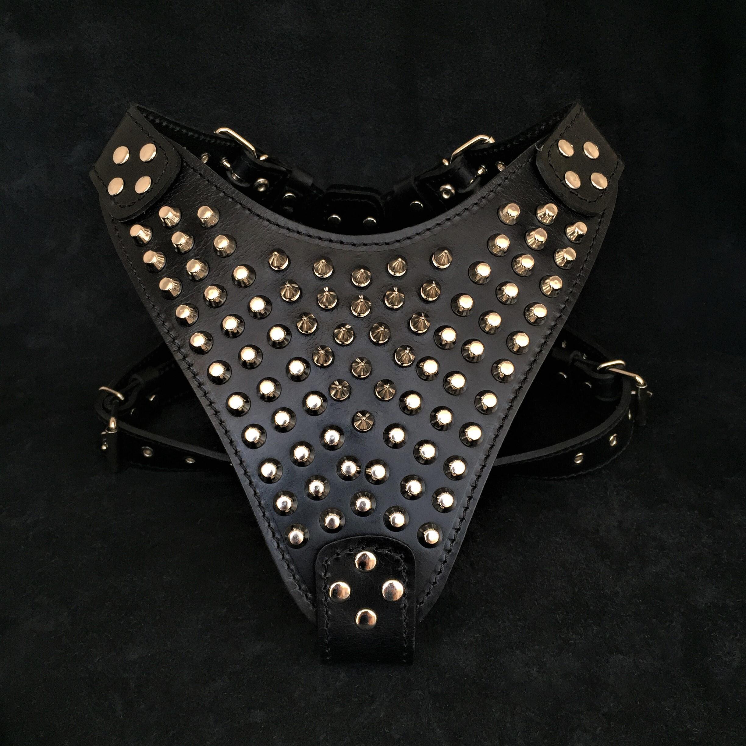 The "Gladiator" harness Bestia Dog Gear