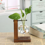 Glass Planter Bulb Vase Transparent Terrarium Hydroponic Vases For Home Garden Office Wedding Decor Wooden Stand Air Planter Bulb Glass Vase Propogation Station for Hydroponics Home Garden Office Decoration Stevvex