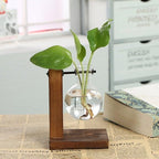 Glass Planter Bulb Vase Transparent Terrarium Hydroponic Vases For Home Garden Office Wedding Decor Wooden Stand Air Planter Bulb Glass Vase Propogation Station for Hydroponics Home Garden Office Decoration Stevvex