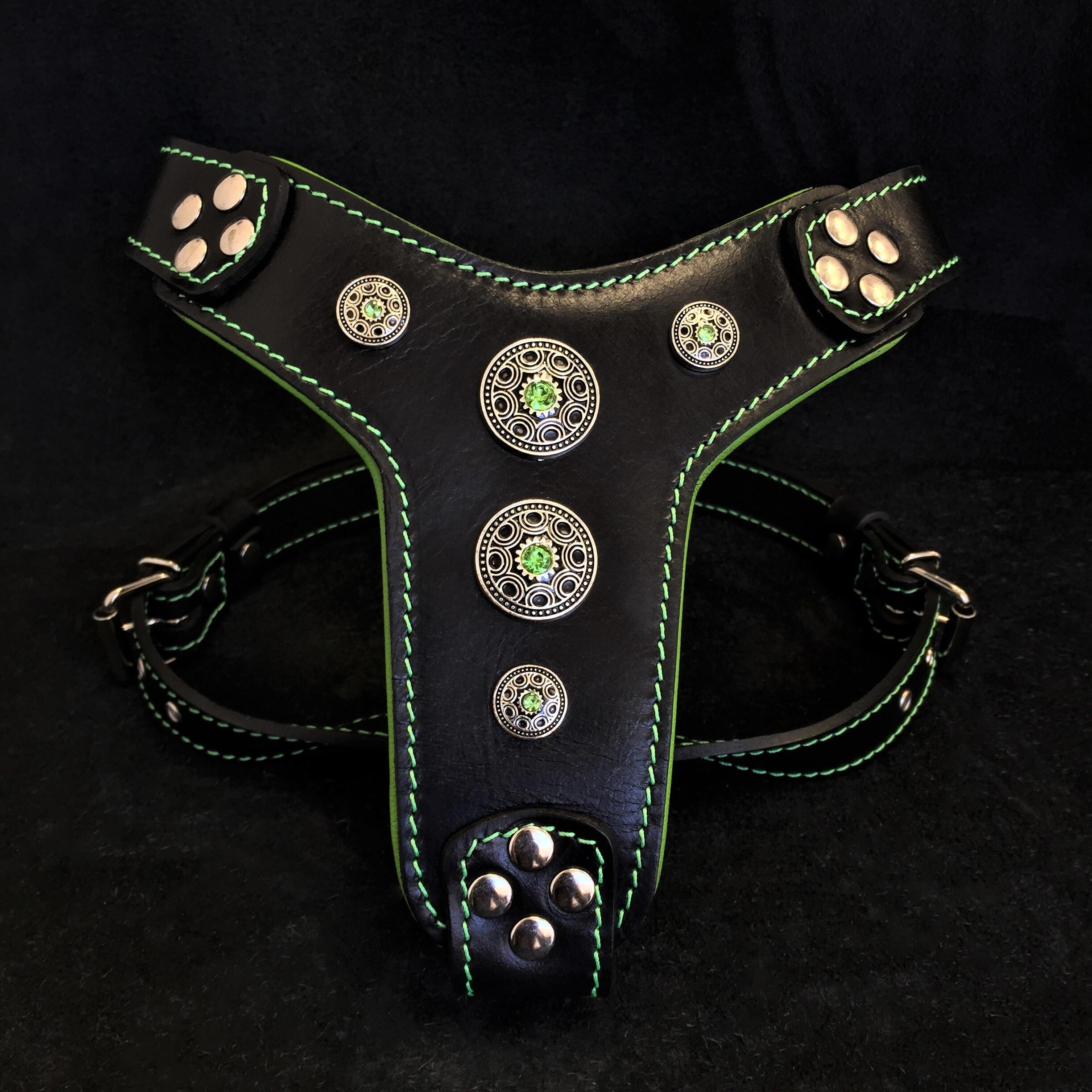 The ''Bijou'' harness Black & Green Small to Medium Size - SJB-DIAMOND ELITES