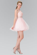 Sleeveless Short Dress with Lace Bodice and Sheer Waistline Purplish Diva