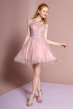 Sleeveless Short Dress with Lace Bodice and Sheer Waistline Purplish Diva