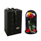 Handmade Preserved Enchanted Rose With Glass Dome on Wood Base - Rose for Christmas ,Valentine's Day