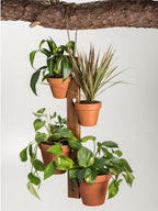 Hanging 4-Pot Plant Holder For 4 And 6 Inch Terra Cotta Pots 23.5 x 2.5 BandsCo Straps