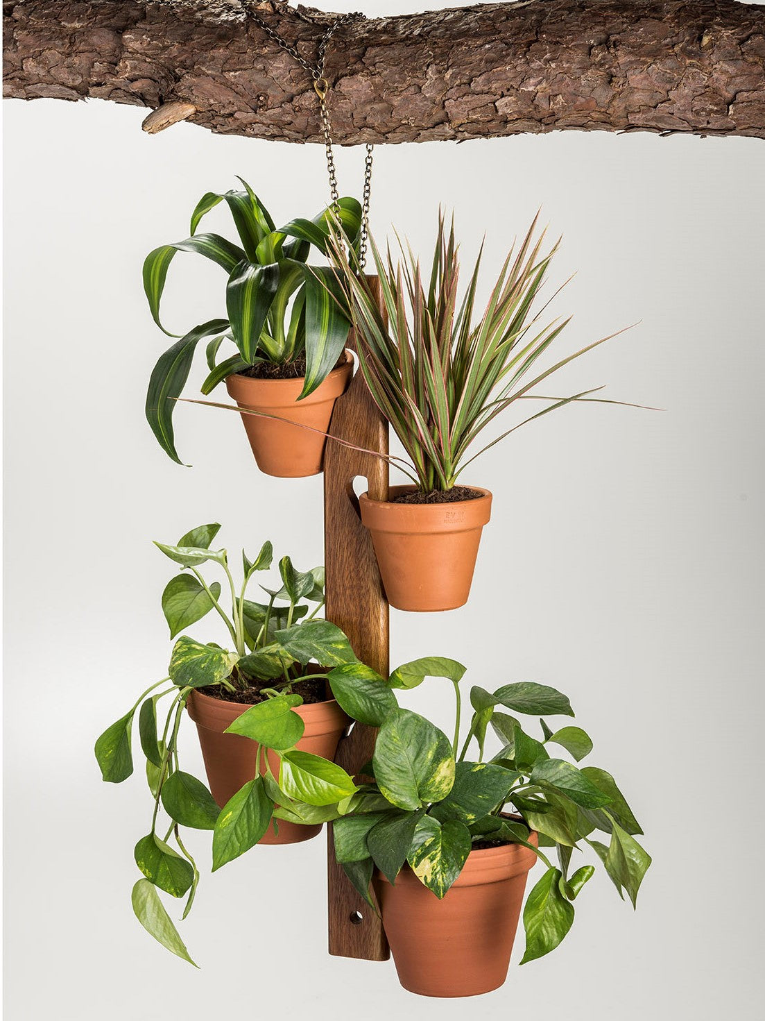 Hanging 4-Pot Plant Holder For 4 And 6 Inch Terra Cotta Pots 23.5 x 2.5 BandsCo Straps