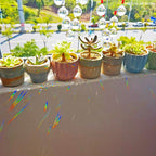 Hanging Crystal With Ball Prism Rainbow Maker Tree of Life Decor For Garden Window Rainbow Maker with Chain for Easy Hanging Outdoor Home Kids Room Window Stevvex